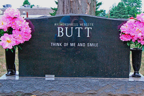 Wordpress website grave